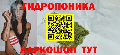 сатива Гусиноозёрск