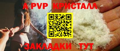 спиды Гусев